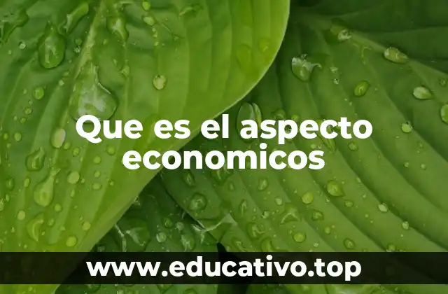 Que es el aspecto economicos