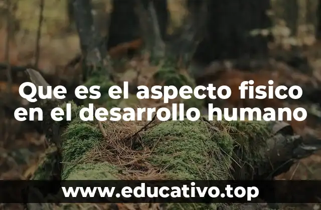 Que es el aspecto fisico en el desarrollo humano