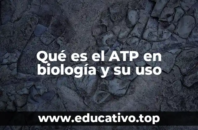 Qué es el ATP en biología y su uso