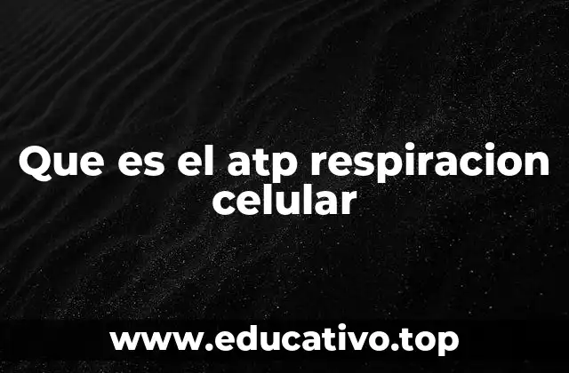 La importancia de la energía en la vida celular