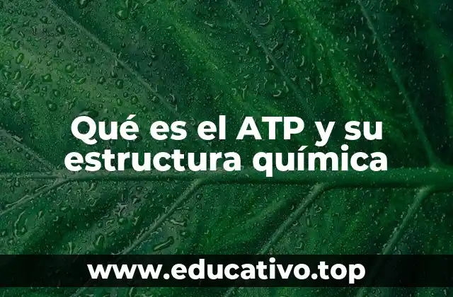 Qué es el ATP y su estructura química
