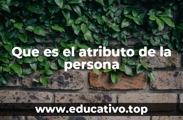 Que es el atributo de la persona