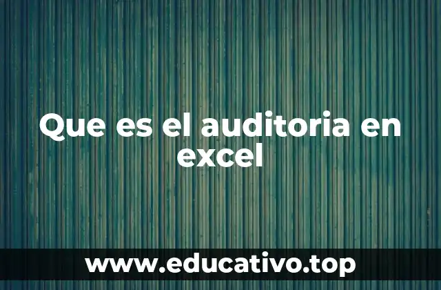 Que es el auditoria en excel