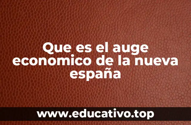 Que es el auge economico de la nueva españa