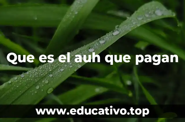 El rol del AUH en la protección social