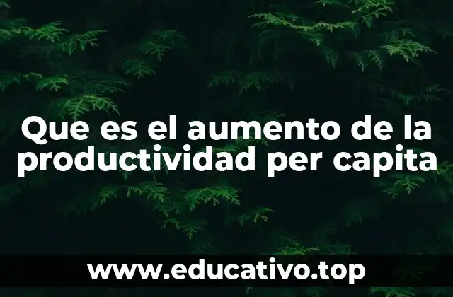 Que es el aumento de la productividad per capita