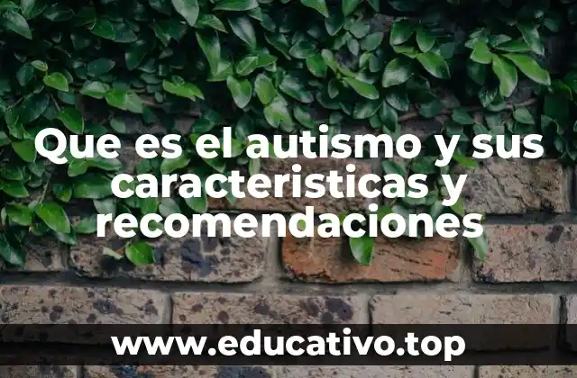 Que es el autismo y sus caracteristicas y recomendaciones