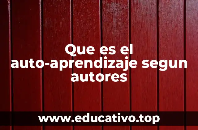 Que es el auto-aprendizaje segun autores