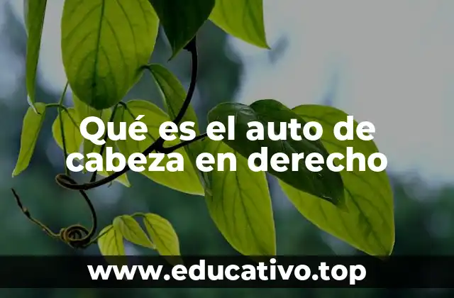 Qué es el auto de cabeza en derecho
