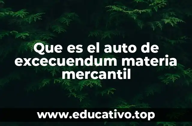 Que es el auto de excecuendum materia mercantil