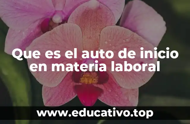 Que es el auto de inicio en materia laboral