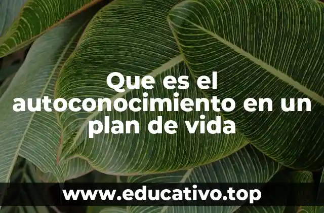 Que es el autoconocimiento en un plan de vida