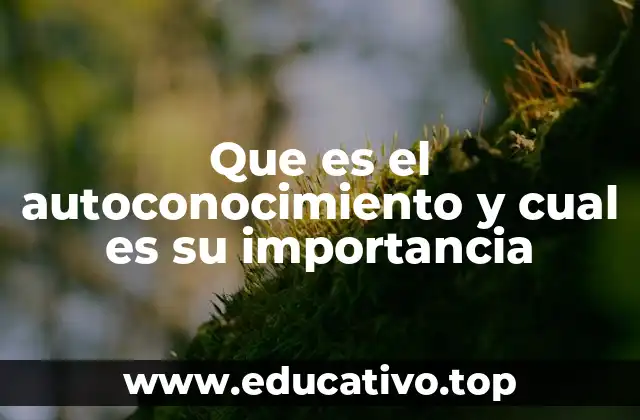 El camino hacia una vida más consciente