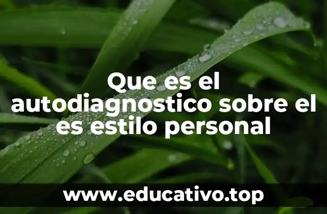 Que es el autodiagnostico sobre el es estilo personal