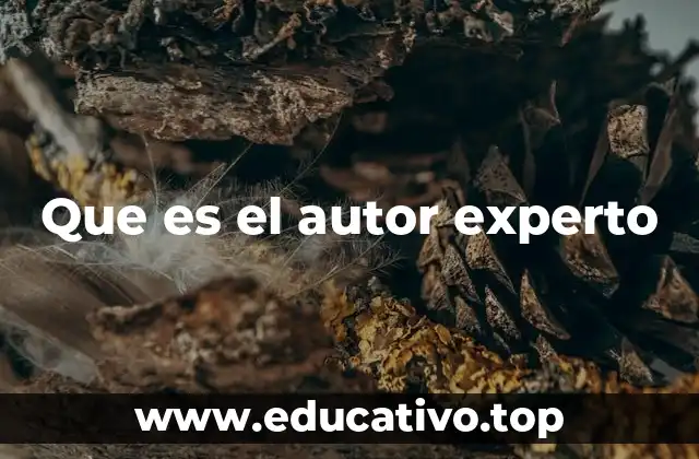 Que es el autor experto