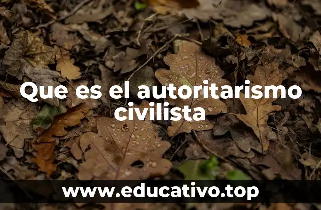 Que es el autoritarismo civilista