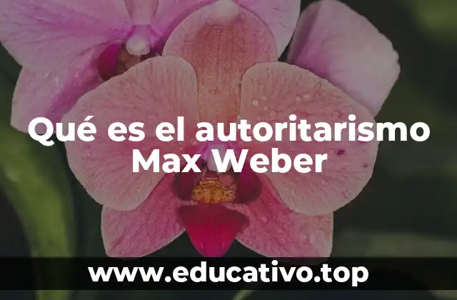 Qué es el autoritarismo Max Weber