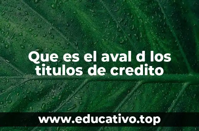 Que es el aval d los titulos de credito