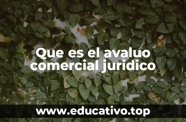 Que es el avaluo comercial juridico