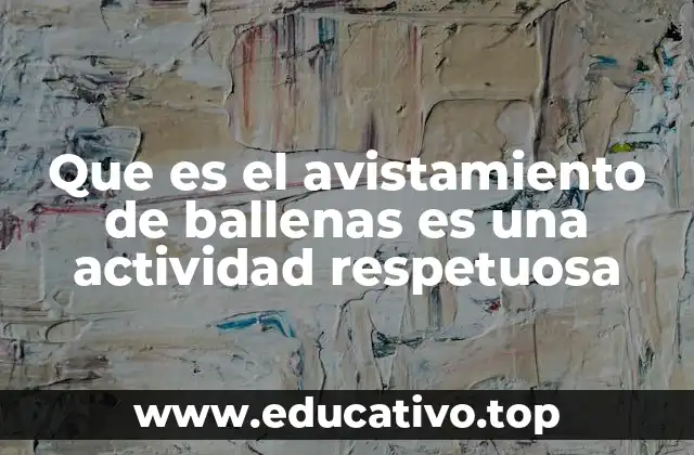 Que es el avistamiento de ballenas es una actividad respetuosa