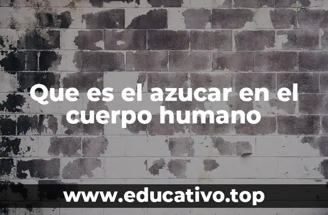 Que es el azucar en el cuerpo humano