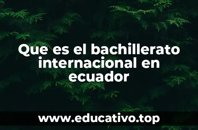 Que es el bachillerato internacional en ecuador
