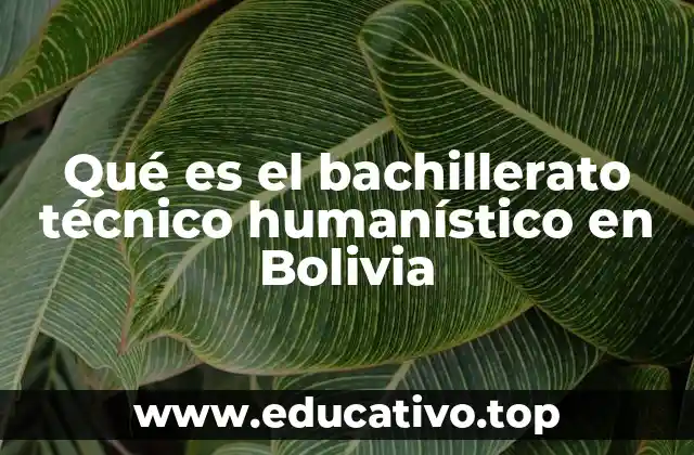 La importancia de la formación técnica y humanística en el contexto boliviano