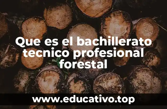 Que es el bachillerato tecnico profesional forestal