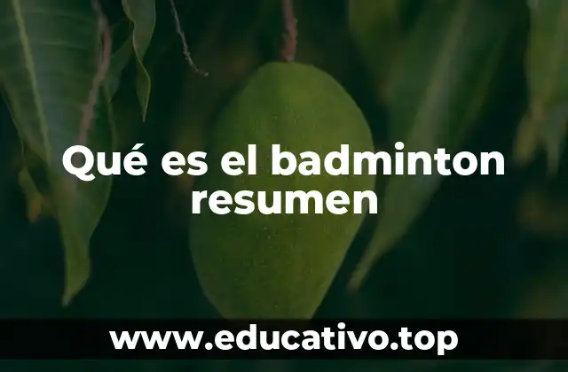 Qué es el badminton resumen
