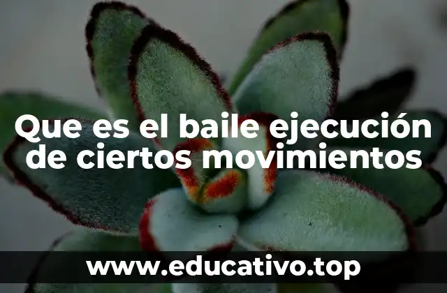 Que es el baile ejecución de ciertos movimientos