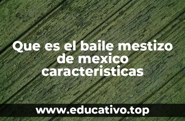 Que es el baile mestizo de mexico caracteristicas