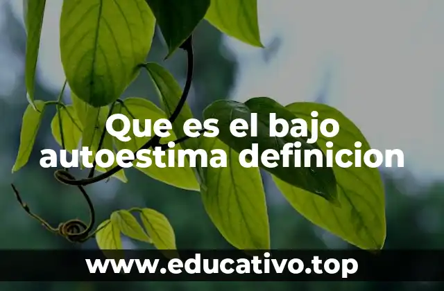 Que es el bajo autoestima definicion