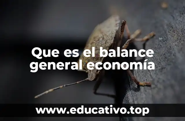 Que es el balance general economía