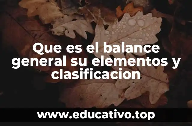 Que es el balance general su elementos y clasificacion
