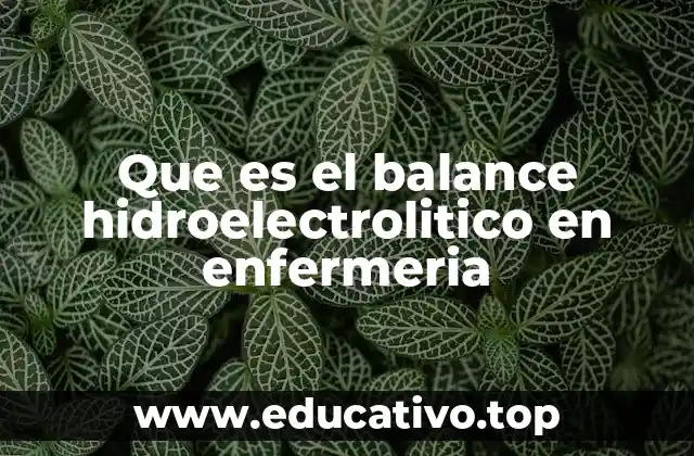 Que es el balance hidroelectrolitico en enfermeria