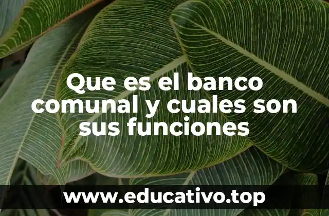 Que es el banco comunal y cuales son sus funciones