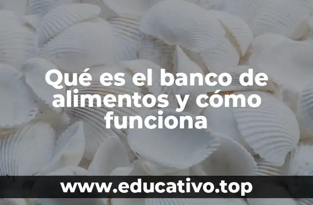 Qué es el banco de alimentos y cómo funciona