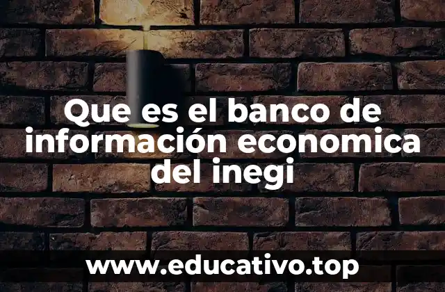 El acceso a datos económicos en el contexto mexicano