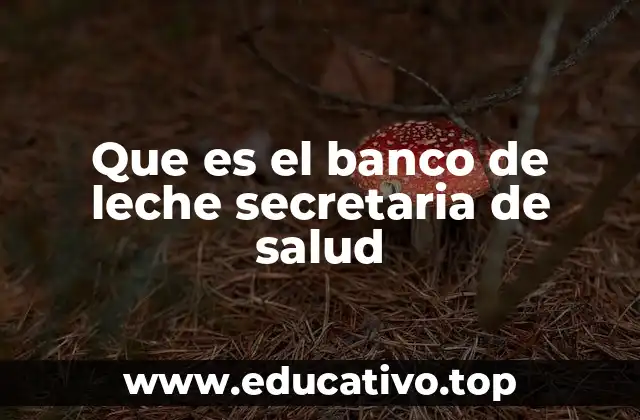 El papel de la Secretaría de Salud en la gestión de bancos de leche