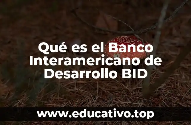 Qué es el Banco Interamericano de Desarrollo BID