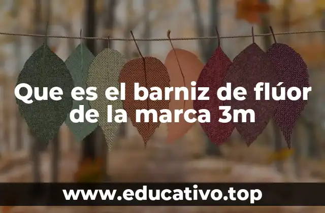 Que es el barniz de flúor de la marca 3m