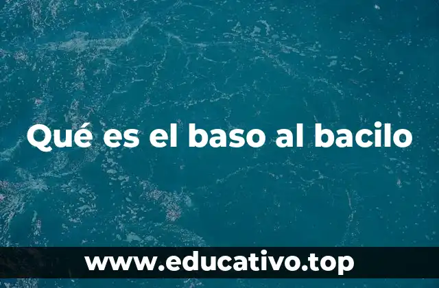 Qué es el baso al bacilo