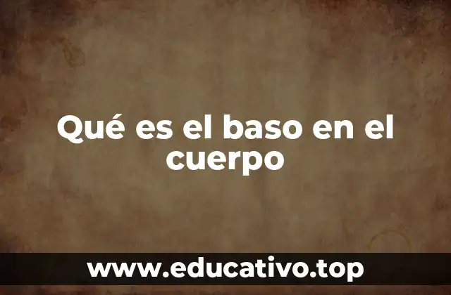 Qué es el baso en el cuerpo