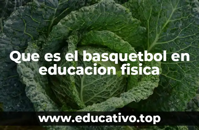 Que es el basquetbol en educacion fisica