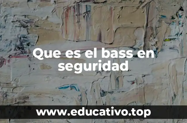 Que es el bass en seguridad
