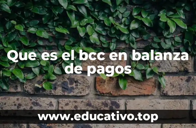 Que es el bcc en balanza de pagos