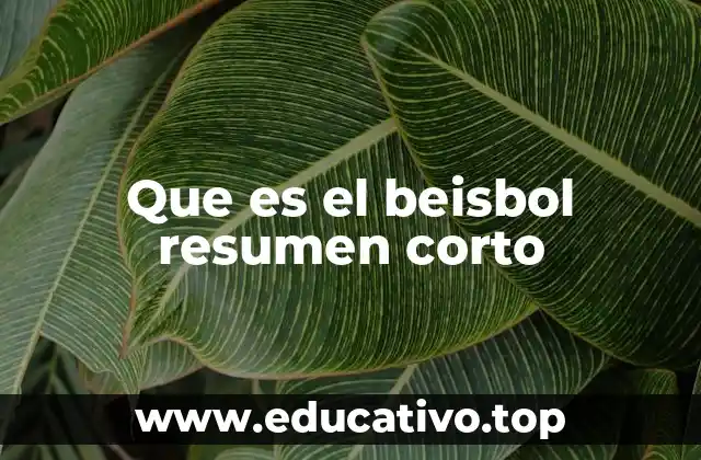 Que es el beisbol resumen corto