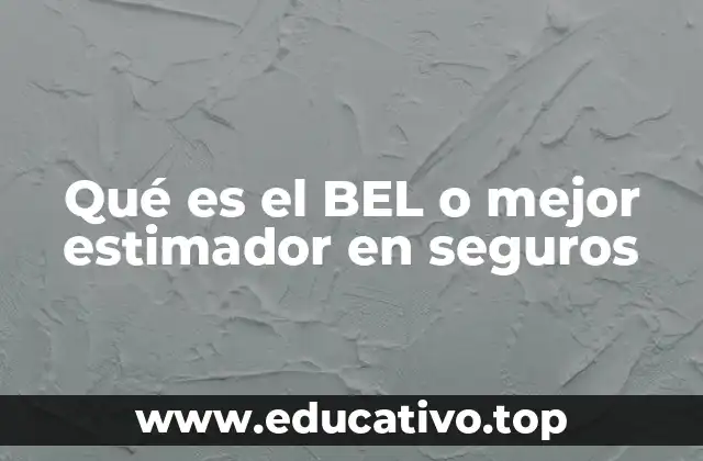 Qué es el BEL o mejor estimador en seguros