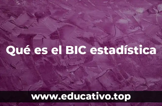 Qué es el BIC estadística