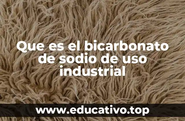 Que es el bicarbonato de sodio de uso industrial